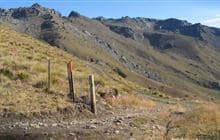 Tinwald Burn Ridge Track