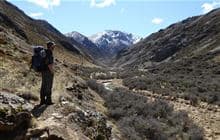 Fowlers Pass Track