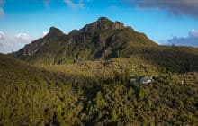 Kauaeranga Kauri Trail (Pinnacles Walk)