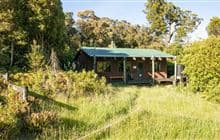 Waiaua Gorge Hut
