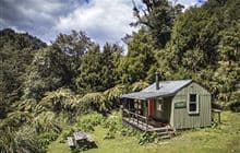 Skips Hut (Whangatawhia)