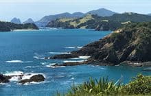 Moturua Island Track