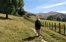 Kaituna Valley Packhorse Hut Track