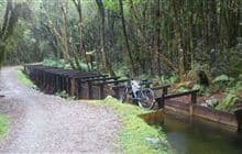 Kaniere Water Race Walkway 