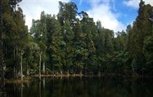 Waihora Lagoon Walk