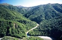 Te Iringa Campsite