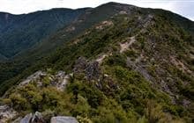 Cameron Hut via Mt Kuripapango and Smith-Russell Track
