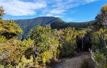 Mount Robertson tracks
