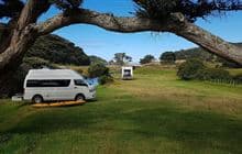 Harataonga Campsite