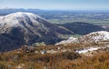 Mt Alford Track