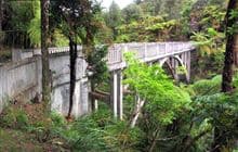 Mangapurua/Kaiwhakauka Track