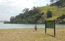 Pataua Island Track