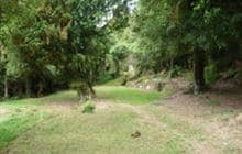 Poukaria Campsite