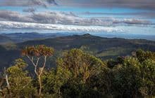 Kaitarakihi Summit Track