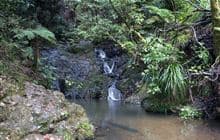 Hakarimata Rail Trail