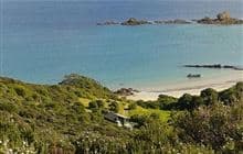 Motukawanui Island Track 