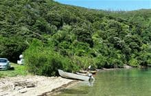 Nikau Cove Campsite