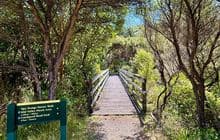 Nga Taonga Nature Walk