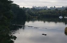 Kerikeri River Track
