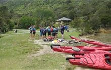 Mistletoe Bay tracks