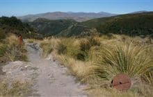 Track to Woolshed Creek Hut
