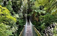 Everett Park Scenic Reserve walk