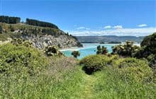 Mapoutahi Track