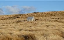 Wire Yards Hut
