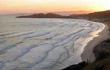 Okitu Bush Scenic Reserve Walk