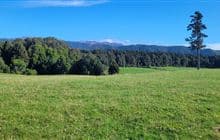 Balls Clearing Walks