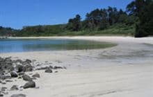 Taronui Bay Recreation Reserve Track
