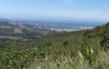 Leith Saddle Track