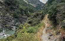 Lower Tīmaru River Track