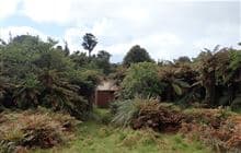 Mangamuka Hut