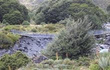 Dart Campsite (near hut)