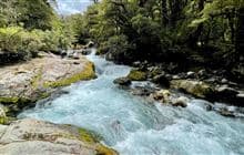 Lake Marian Falls Track