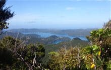 Port FitzRoy: Cooper's Castle Track