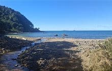 Ōtara Bay Track