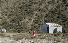 Manuka Hut