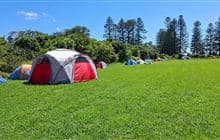 Motuihe Island Campsite