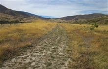 Lindis Valley tracks