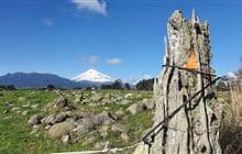 Stony River (Hangatahua) Walkway