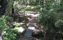 Water Intake Track
