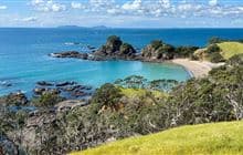 Motutara Recreation Reserve Walk