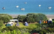 Motuora Island Campsite