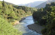 Little Manganuku Track 