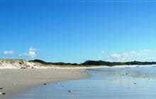 Rarawa Beach Campsite