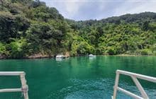 Kumutoto Bay Campsite