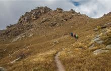 Basin View Tramping Track