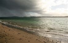 Motuora Island walks